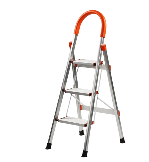 LADDER